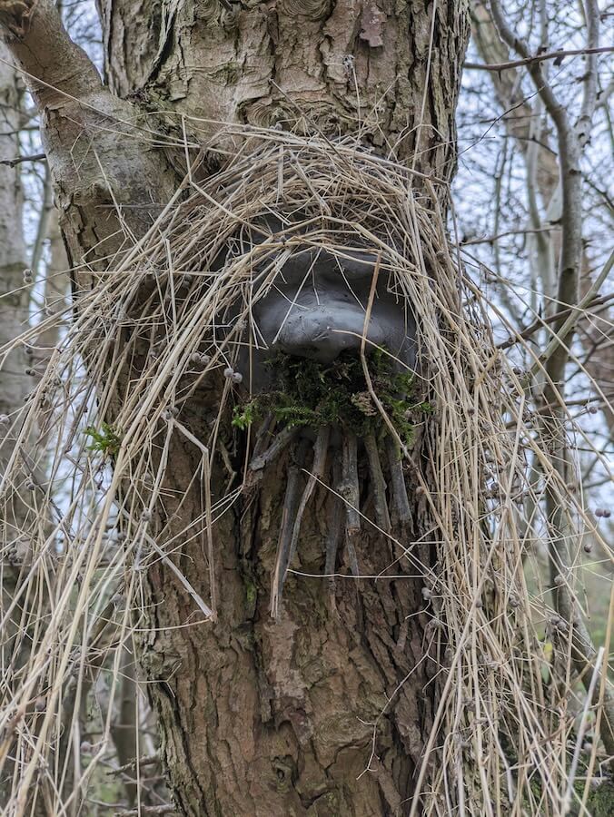 A clay face sculpted onto a tree. Long dried grass has been used as hair